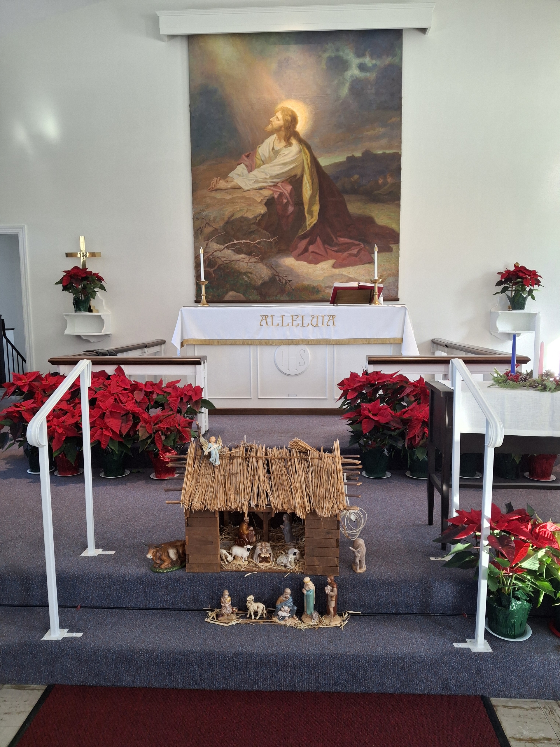 Resized_20241222_111748_1734895856447