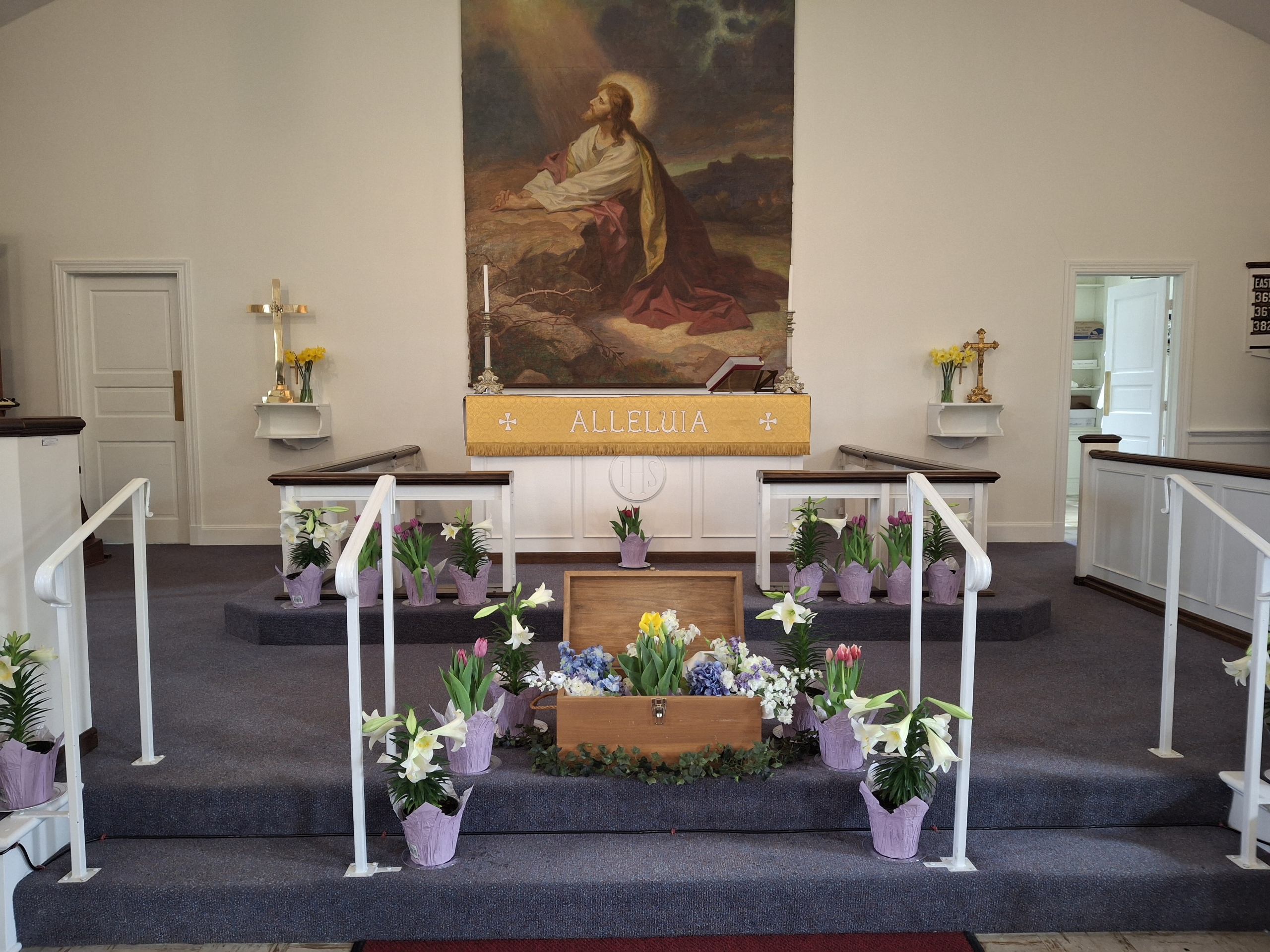 Resized_20250419_094301_1745082117217